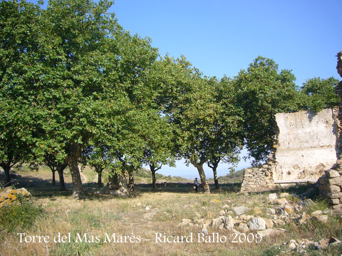torre-del-mas-mares-roses-090729_517